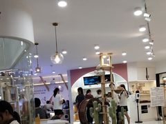 -喵园·猫主题咖啡厅·撸猫·猫咖(国贸店)