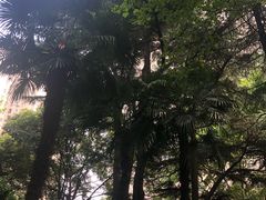 -华山儿童公园