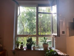 -养笙记·艾灸美容养生·轻养生活馆