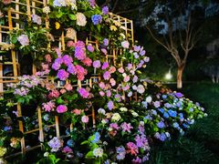 -常州古运河南大街文化旅游区-人民公园