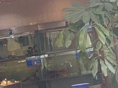 -天天渔港(杏林街店)