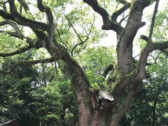 -热田神宫