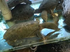 -青竹园海鲜餐厅(海天路店)