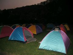 android_upload_pic-南宁良凤江国家森林公园