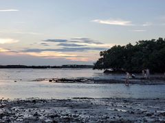 -宝安西湾红树林湿地公园