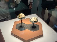 -呼和浩特博物馆
