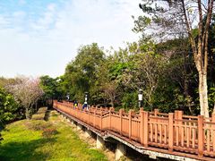 -立新湖公园