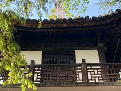 -汇龙潭