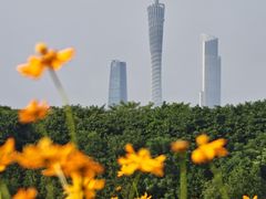 -海珠湖公园