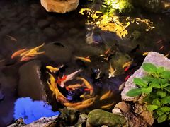 -绣园·茶食宴(湘绣博物馆店)