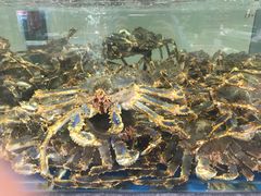-宝燕海货工场(长江国际店)