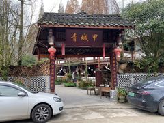 -青城甲(青城山店)