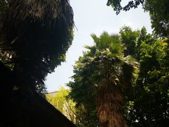 -老渔家鲜鱼轩(南浦横街店)