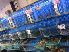 -云南巷海鲜大咖·可加工海鲜