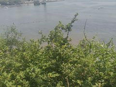 -黑石礁公园