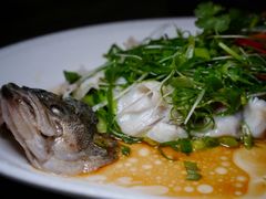 清蒸鲈鱼-岭南真味·匠心粤菜(K11店)