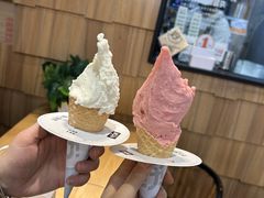 -野人先生现做冰淇淋(北京顺义祥云小镇店)