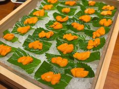-月龍吟(朝龙汇店)