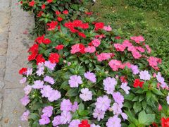 -庐山风景区花径公园