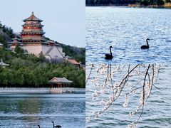 -北京明城墙遗址公园