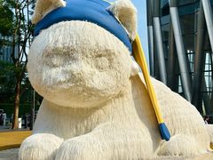 -深圳湾万象城(南山店)