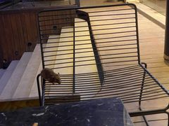 -萃茶师(琅西店)