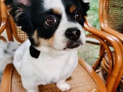 -呼吸森林·生态农庄农家乐私房菜