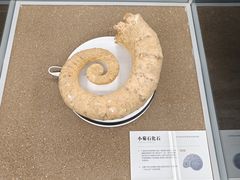 -天津古林古海岸遗迹博物馆