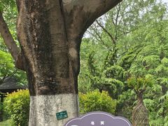 -济南植物园