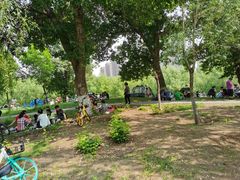 -长白岛森林公园