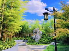 -上海共青森林公园