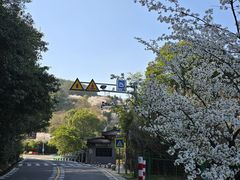 -溪口-滕头旅游景区