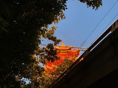 -黄鹤楼公园(黄鹤楼)