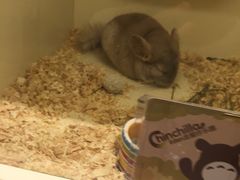 -龙猫仔乐园(惠福东路店)