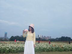 -映月湖中央公园