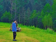 -五营红松林海景区