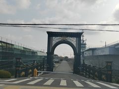 -上海鲜花港