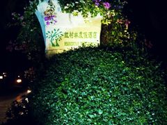 android_upload_pic-三亚亚龙湾红树林度假酒店