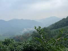 -西湖风景区十里琅珰-五云山