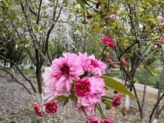 -白塘生态植物园