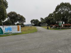 -荷塘月色湿地公园·向阳花洲