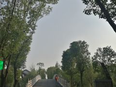 -同里国家湿地公园