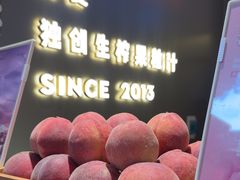 -树夏(锦里店)