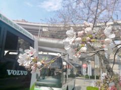 -上海南浦大桥长途旅游客运站
