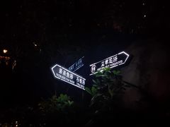 -深圳东部华侨城茵特拉根酒店