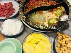 -小志家.野生菌鲜切牦牛肉牛杂火锅