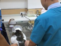 -惠康宠物医院(华能路店)