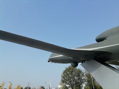 -成飞公园