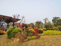 -上海长兴岛郊野公园