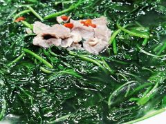 土猪肉浸枸杞叶-鹅城